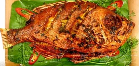 Cá Khế Nướng / Lẩu